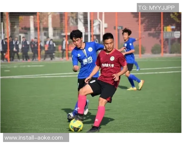 足球竞赛规章制度的全面解读与实施细则探讨